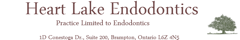 Link to Heart Lake Endodontics home page